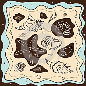 Sea shell background, vector illustration photo