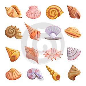 Sea shell beach icons set, cartoon style