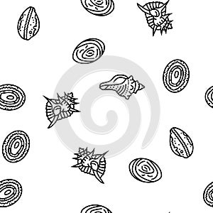 sea shell beach summer ocean vector seamless pattern