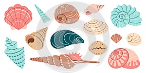 Sea shell, sink cartoon set. flat design illustration