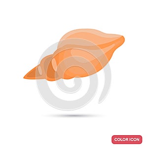Sea shell color flat icon for web adn mobile design photo