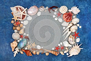 Sea Shell Design Abstract Background Border