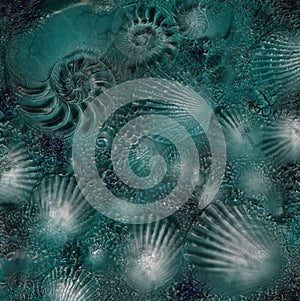 Sea shell fossils 3d background