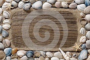 Sea shell frame and sand on old wood