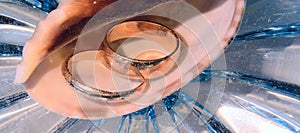 In the sea shell are gold wedding rings