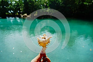 Sea shell on hand against the background of the sea, Relaxation, peace and pleasant mention of the sea. The beautiful conch in