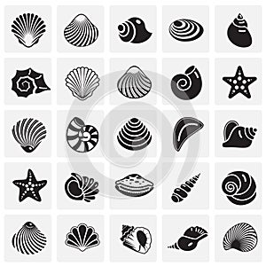 Sea Shell icons set on squres background for graphic and web design. Simple vector sign. Internet concept symbol for