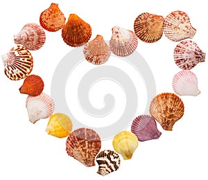 Sea shell isolated on white background,Copy space,top view,heart shape,Valentine`s Day