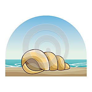 Sea shell molusk black and white