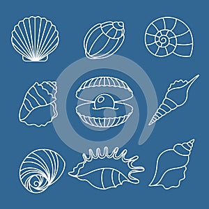 Sea shell outline icons on blue