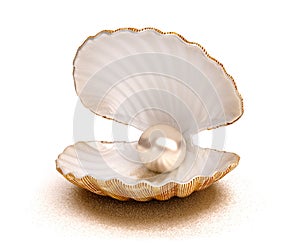 Sea shell with pearl