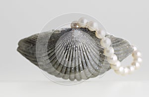 Sea shell and pearl