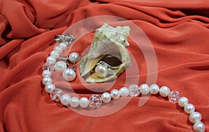 Sea shell and pearl jewelry - a bracelet and earrings on a pink background.