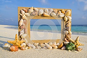 Sea Shell Sand Frame Beach Concept