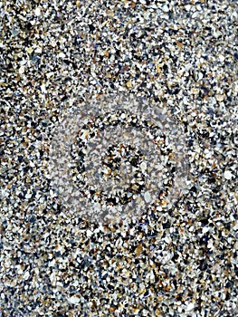 Sea Shell Sand Texture 1