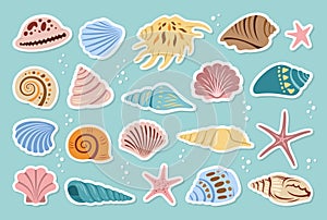 Sea shell scrapbook sticker diary cartoon set ocean exotic underwater aquatic mollusk sea label