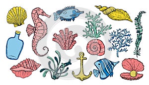 Sea shell, seaweed, anchor, seahorse, and fish. Hand drawn underwater colorful creatures.