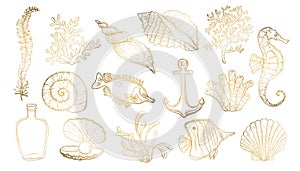 Sea shell, seaweed, anchor, seahorse, and fish. Hand drawn underwater creatures.