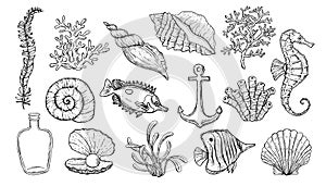 Sea shell, seaweed, anchor, seahorse, and fish. Hand drawn underwater creatures.