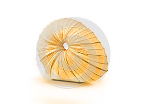 Sea shell shaped light glowing