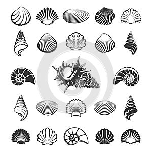 Sea shell silhouettes photo