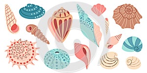 Sea shell, sink cartoon set. flat design illustration