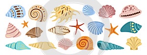 Sea shell sink cartoon set ocean exotic underwater conch aquatic mollusk sea spiral snail marine