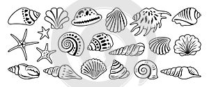 Sea shell sink doodle cartoon set ocean exotic underwater seashell aquatic mollusk marine symbol