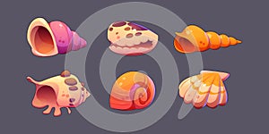 Sea shell and snail conch game icons.