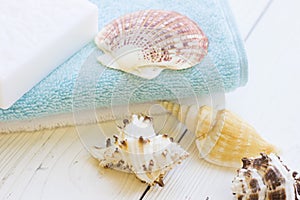 Sea shell spa concept