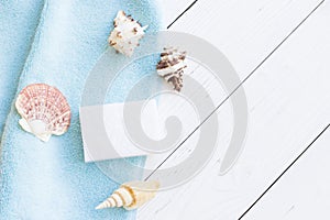 Sea shell spa concept