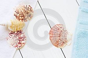 Sea shell spa concept