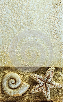 Sea Shell and Starfish on Brown Background, Closeu