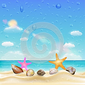 Sea shell and starfish on a sand beach with water drop on screen