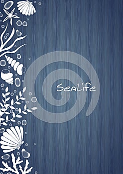 Sea shell, starfish, seaweed, coral and bubble water on wooden vector background.