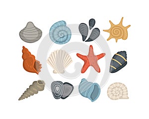 Sea shell vector icons in cartoon style. Set of clam mollusc. Ocean cockleshell.