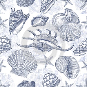 Sea Shell Vector Pattern Texture