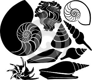 Sea shell vector silhouette. nautilus sea fauna ocean aquatic underwater