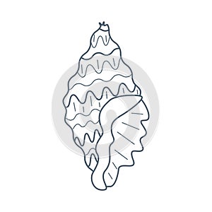 Sea shell, water inhabitant in flat cartoon style