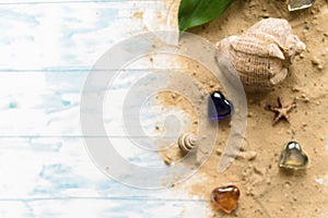 Sea shell on a wooden background with sand. Concept of summer holidays