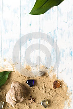Sea shell on a wooden background with sand. Concept of summer holidays