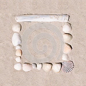 Sea shells arranged as a square shape frame on the sunny summer sandy beach. Flat lay with lovely copy space