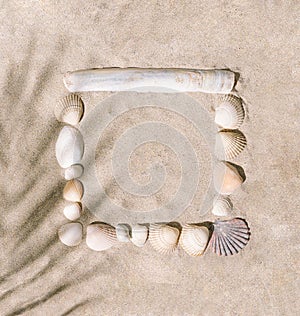 Sea shells arranged as a square shape frame on the sunny summer sandy beach. Flat lay with lovely copy space and gentle shadow