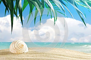 Sea shells are on a background of beautiful sea landscape.