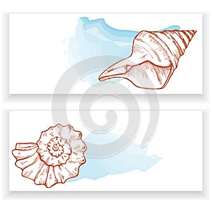 Sea shells banners