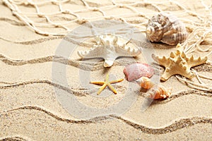 Sea shells