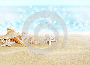 Sea shells on the beach photo