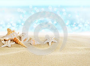 Sea shells on the beach