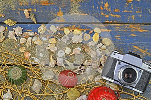 Sea shells on a blue background. Summer traveling time. Sea holiday background with various shells and vintage camera. Place for y