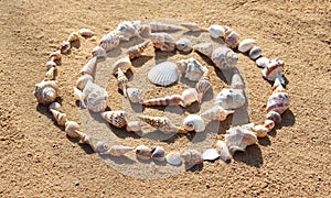 sea shells building a spiral on the sand